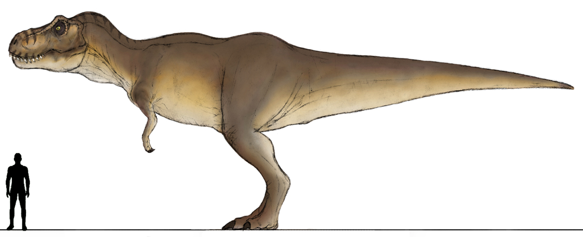 JPDinos: TLW Female T-Rex WIP