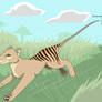 Are Thylacines Still Out There