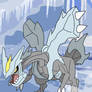 Kyurem 646