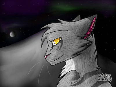 Stormpelt by TacticalAnimator on DeviantArt