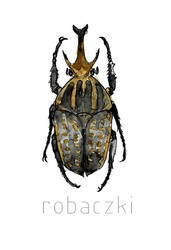 Insect 03