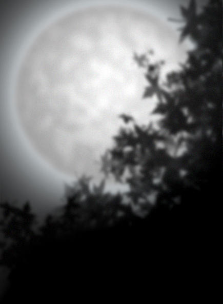 Moonlight Shadow Example Moonlight shadow by miasaokim on DeviantArt