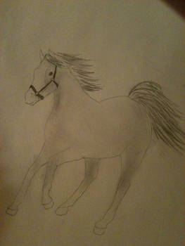 Quick horse sketch