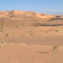 desert_3