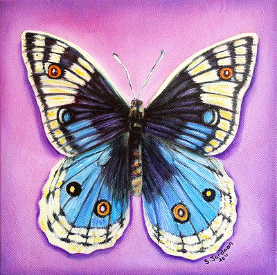 Butterfly gift 2