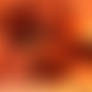 an idea of the size,forced day phosphorescence