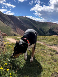 Pikes Peak 2