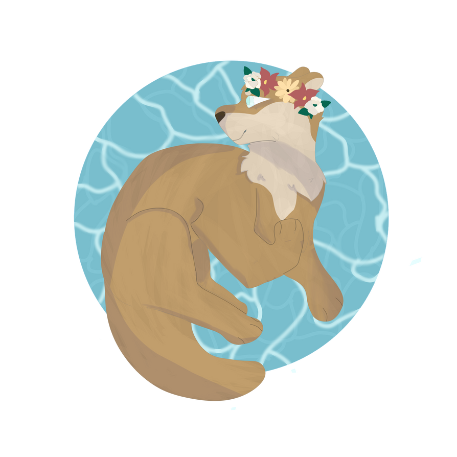 Artistic happy birthday otter illustration by catssrule