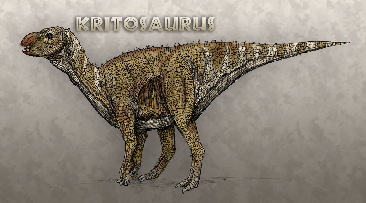 Kritosaurus