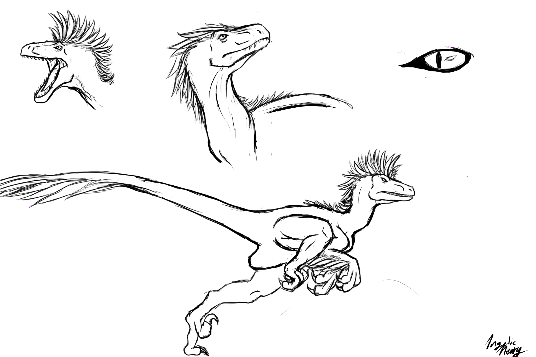 Utah Raptor Outlines Utahraptor lines by AngelicMisery on DeviantArt