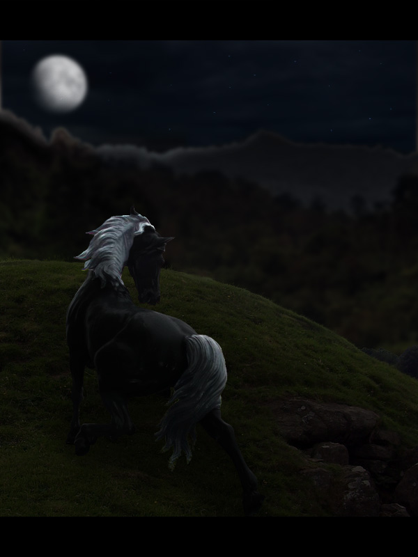 Black Horse