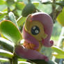 Baby Fluttershy :3