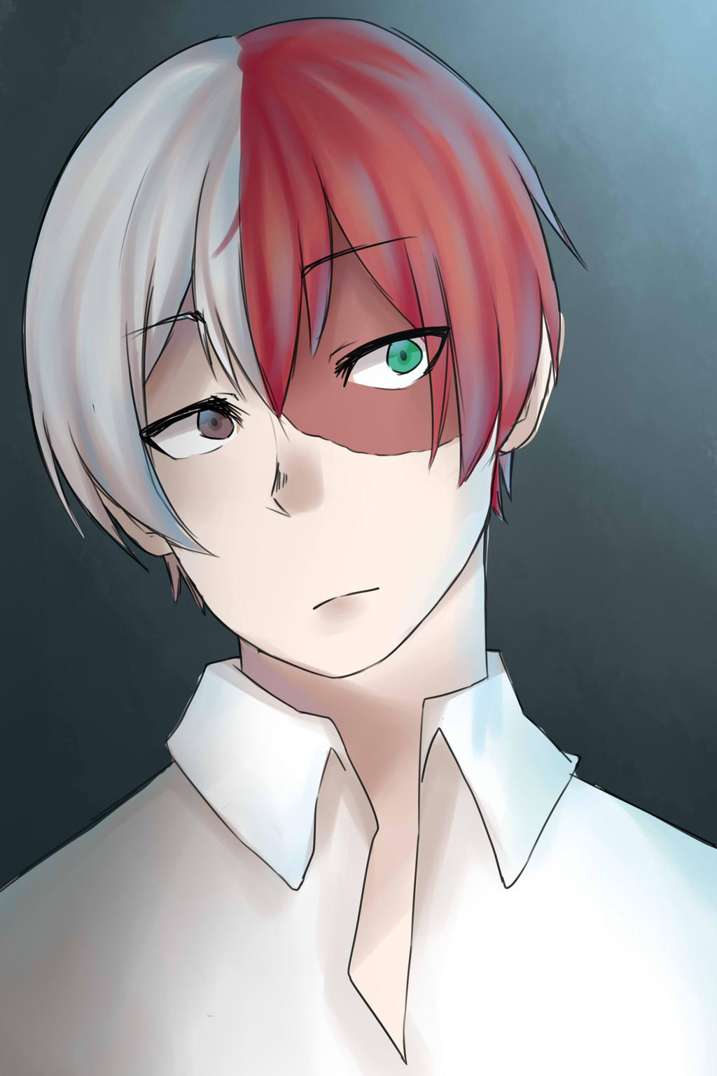 Boku no hero : Todoroki