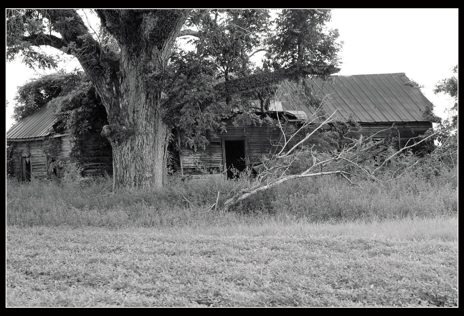 Creepy Farm  House