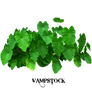 Elephant Ears PNG Vampstock