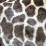 Giraffe Fur Vampstock
