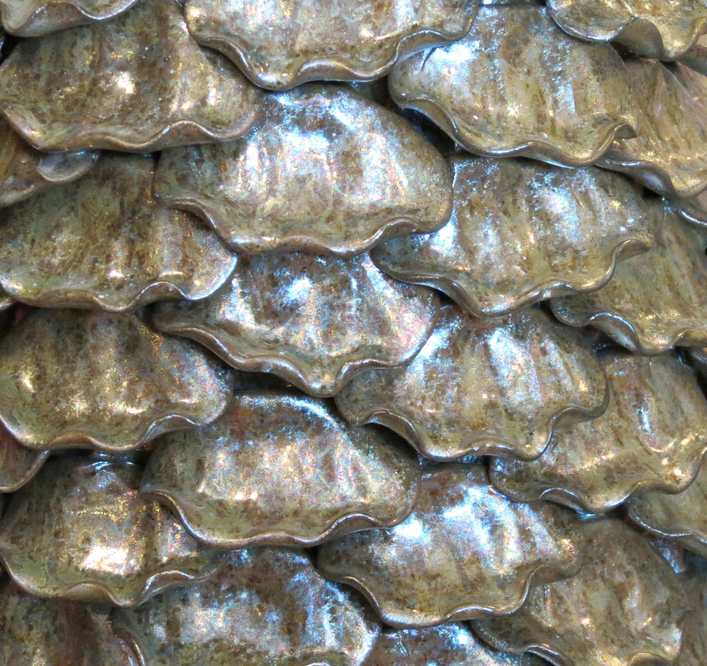 Shell Texture Vampstock