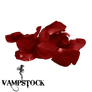 Rose Petal PNG 8 Vampstock