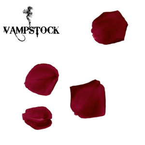 Rose Petal PNG 5 Vampstock