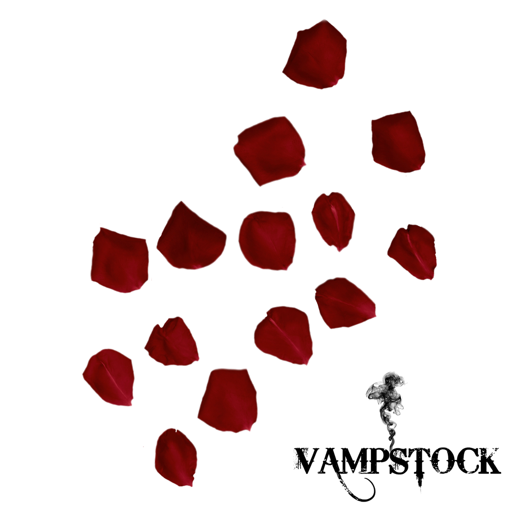 Rose Petal PNG 4 Vampstock by VAMPSTOCK