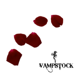 Rose Petal PNG 1 Vampstock