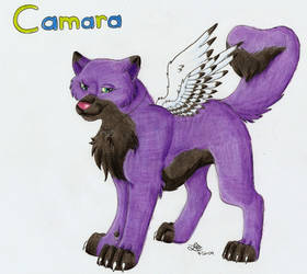 Camara the Husky Fursona