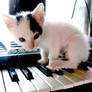 Piano Kitten v.1