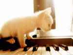 Piano Kitten v.2