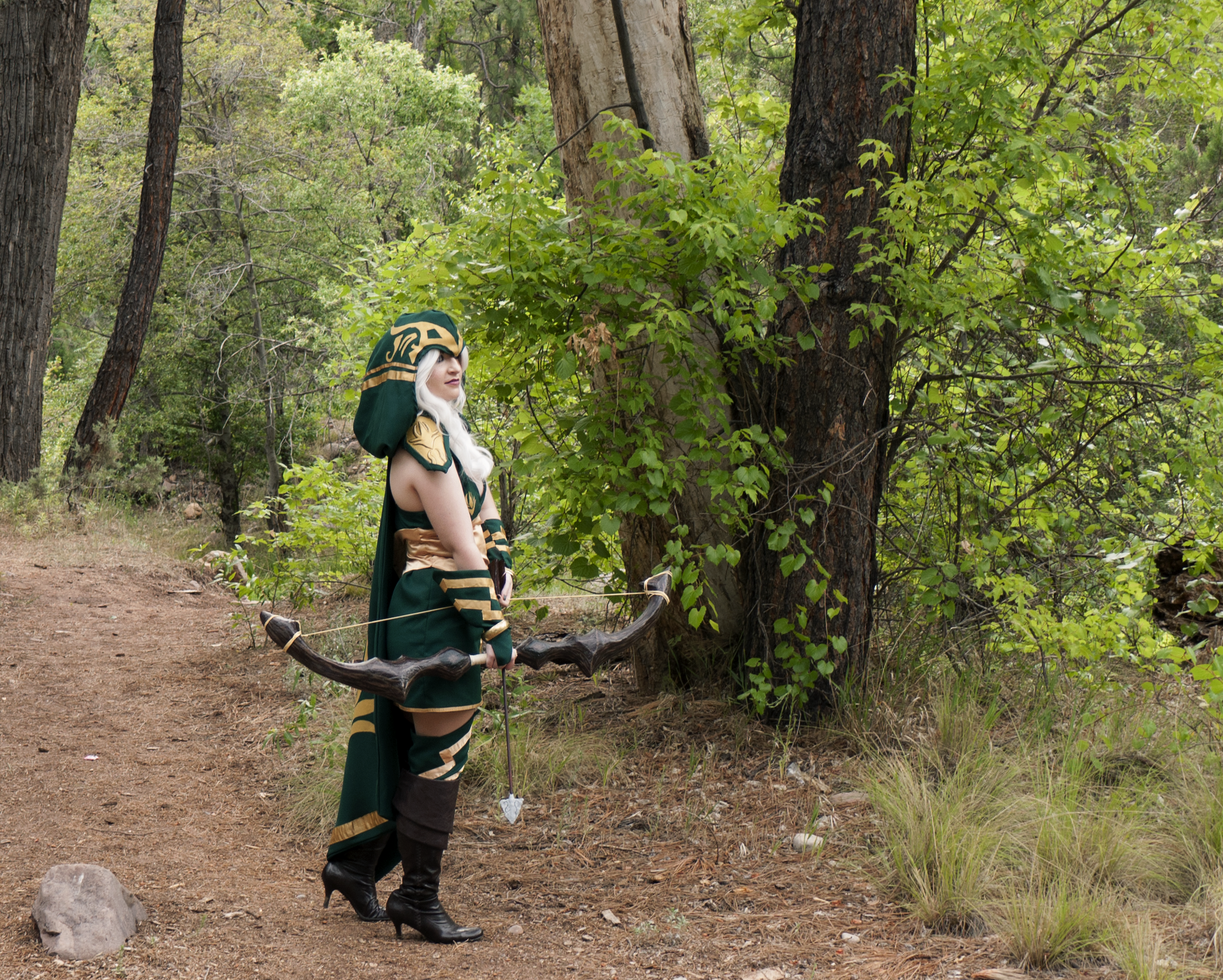 Sherwood Forest Ashe