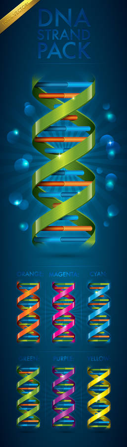 DNA Strand Pack