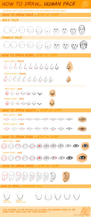 tuto -  how to draw face