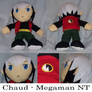 Commission: Chaud -Megaman NT-