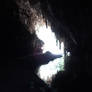 Guacharo Cave