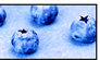 :Blueberries: Stamp