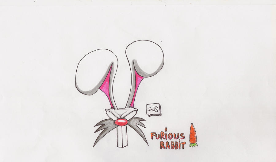 Furious Rabbit furious rabbit by MRTTQM on DeviantArt