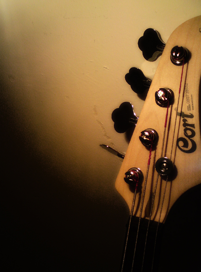 bass guitar 2