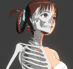 Sawa Anatomy