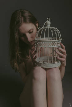 The cage