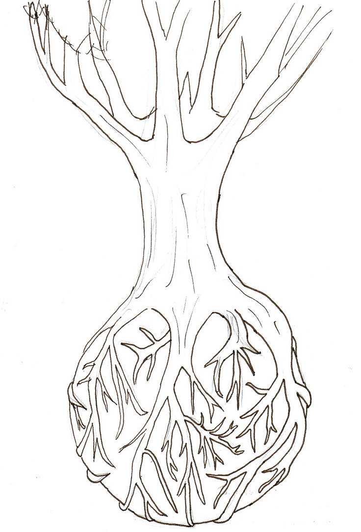 Tree Roots by Itti on DeviantArt