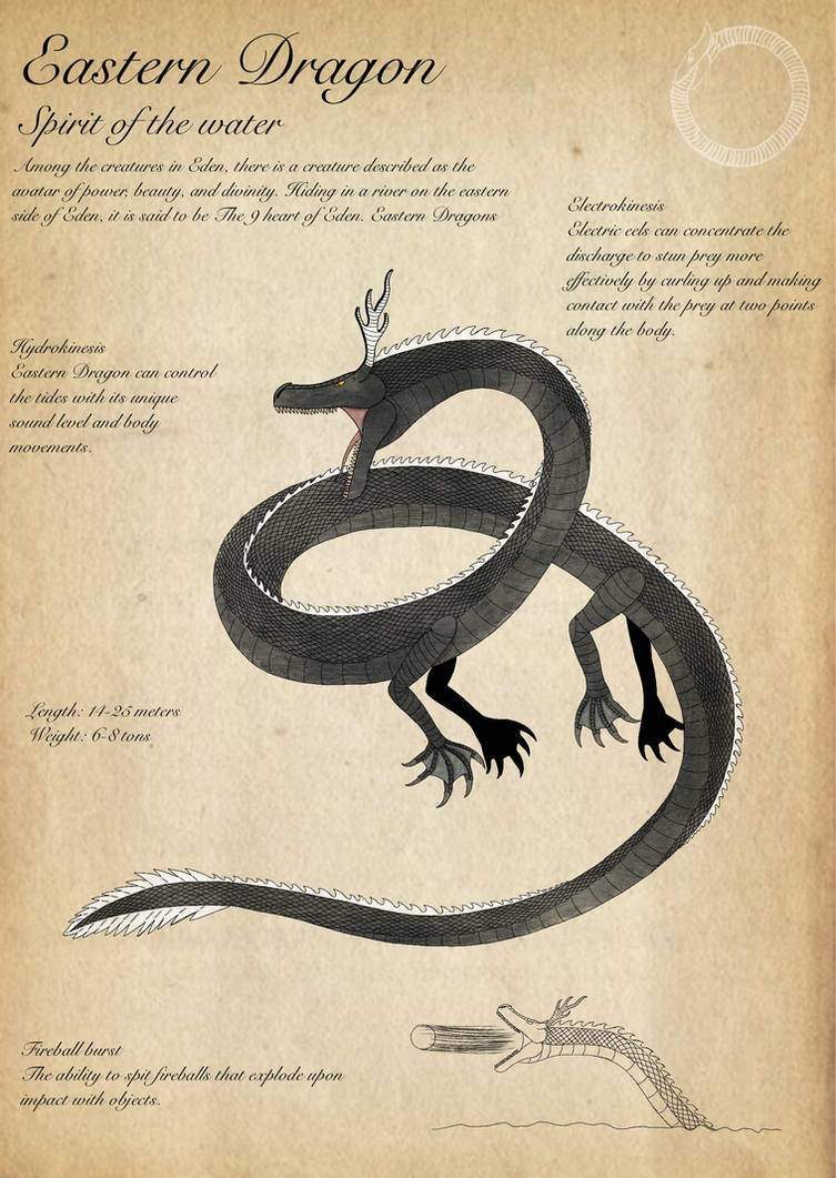 Eastern Dragon Rework Eastern Dragon by SharkjiraArt on DeviantArt