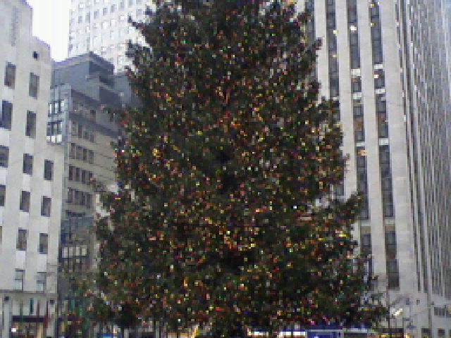 Rockefeller Tree by gryffonmanic on DeviantArt