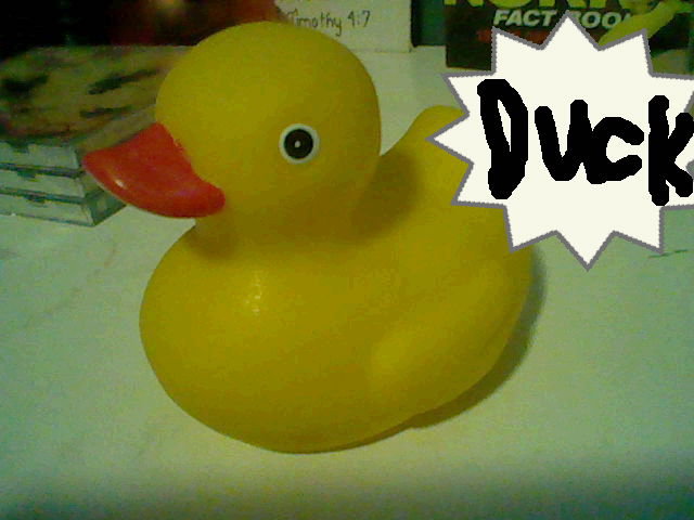 DUCK