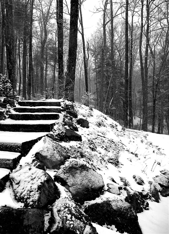 Simple Snowy Steps