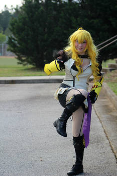 Start it off with a Yang!
