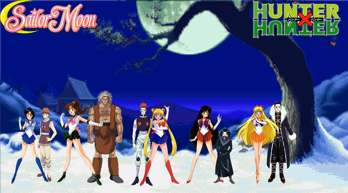 Hunter x hunter 1999  Hunter x hunter, Sailor chibi moon, Anime