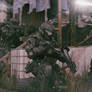 Ambush