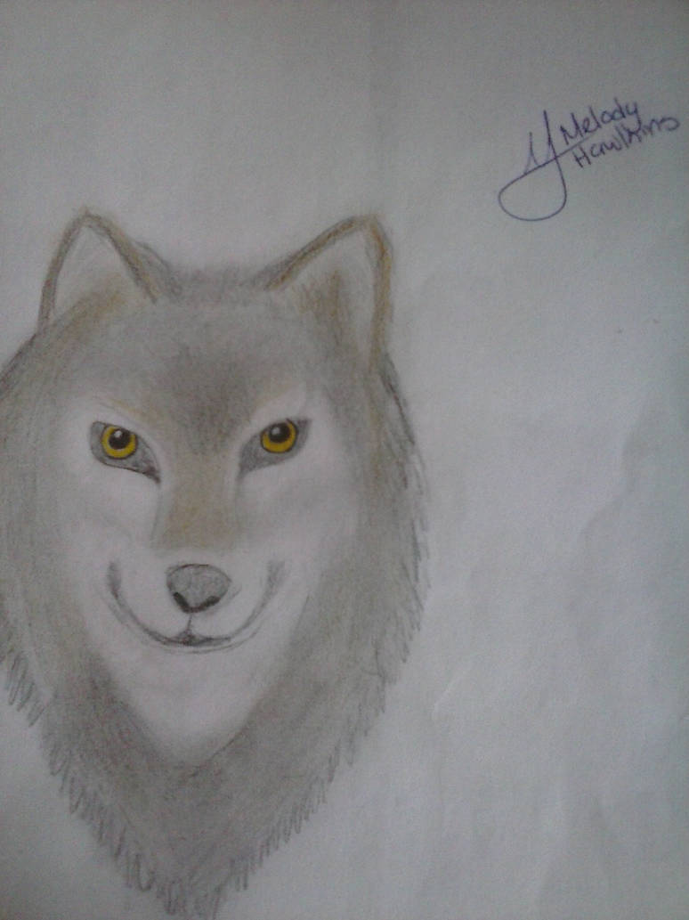 Sam Roth by MelodyHawkins5 on DeviantArt