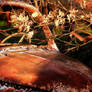 Light on a rusty car