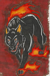 Dark Wolf