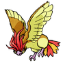 Pidgeotto WWS